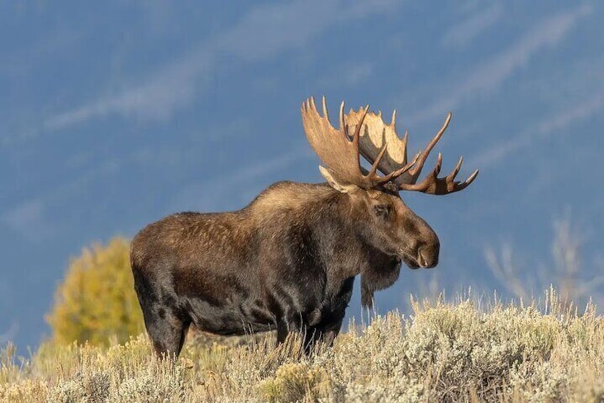 Sunrise and Sunset Tour of Grand Teton 5