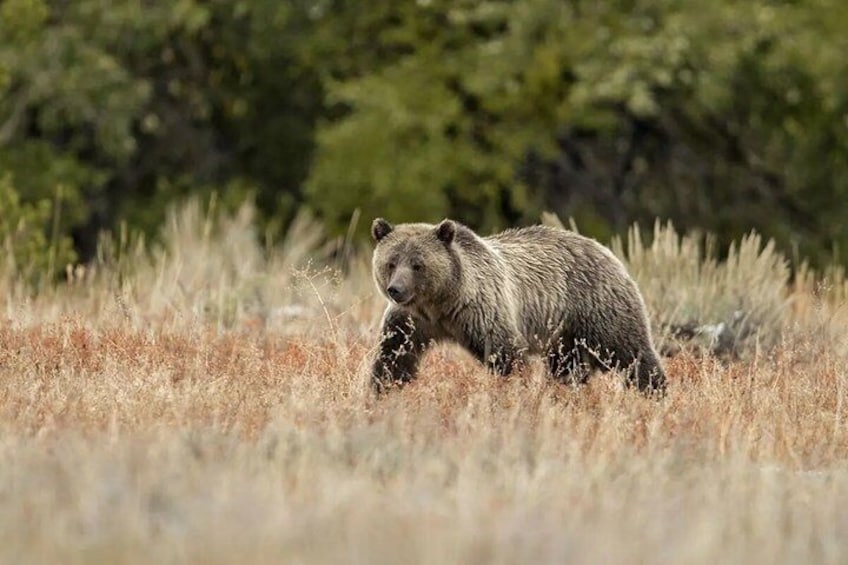 Sunrise and Sunset Tour of Grand Teton 2