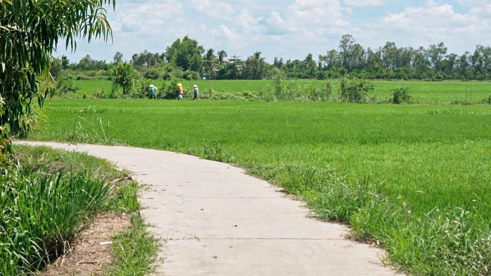 Picture 2 for Activity Phu Ly: Stunning Landscape Cycling Tour 4