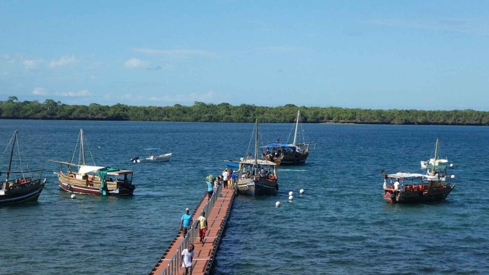 Picture 2 for Activity Wasini: Dolphins, Coral Reef & Swahili Island Escape 1