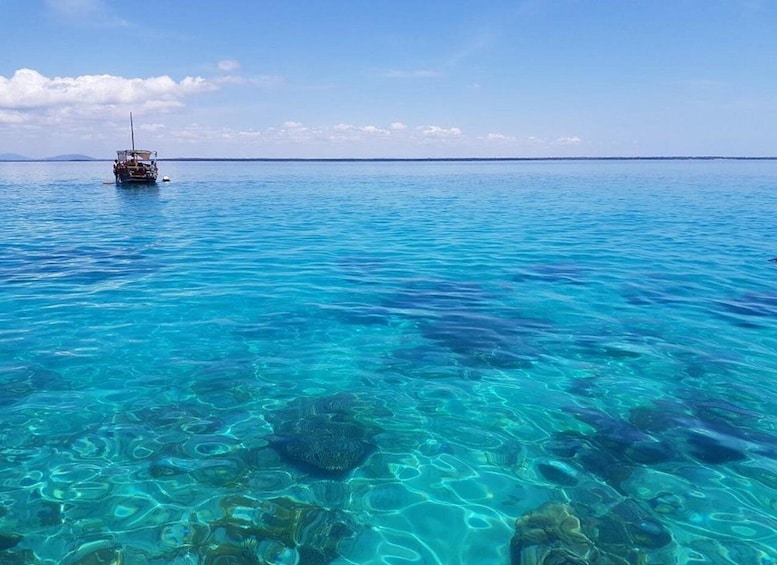 Wasini: Dolphins, Coral Reef & Swahili Island Escape 5