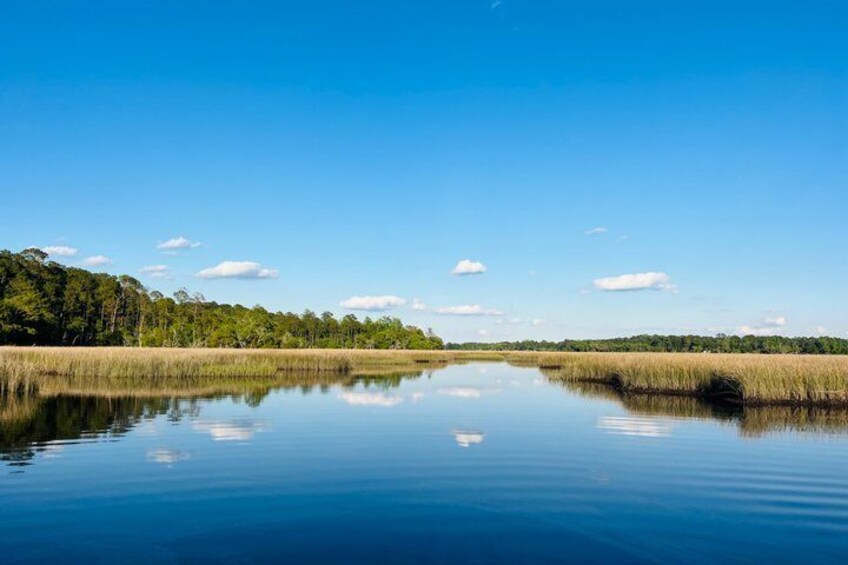 A calm lake with clear reflections, surrounded by dense greenery and a clear blue sky. 1
