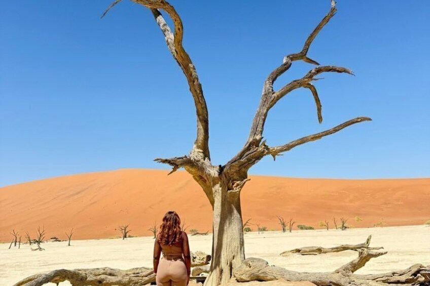 7 Day Namibia Tour Sossusvlei with Swakopmund and Etosha 5