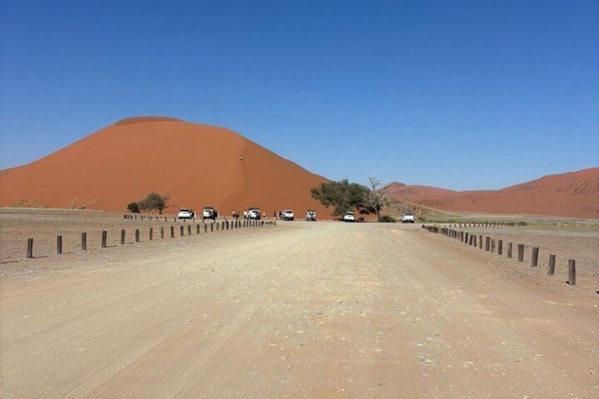 7 Day Namibia Tour Sossusvlei with Swakopmund and Etosha 4