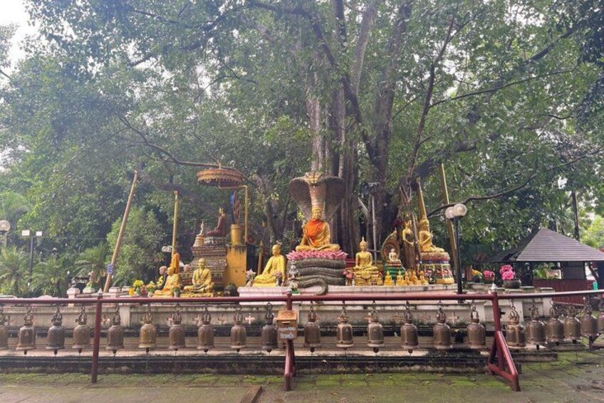 A temple with golden statues and a large tree in the background. 5