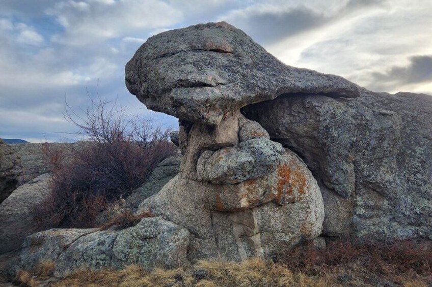 Petrified Giants of Land and Sea Tour in Colorado 3