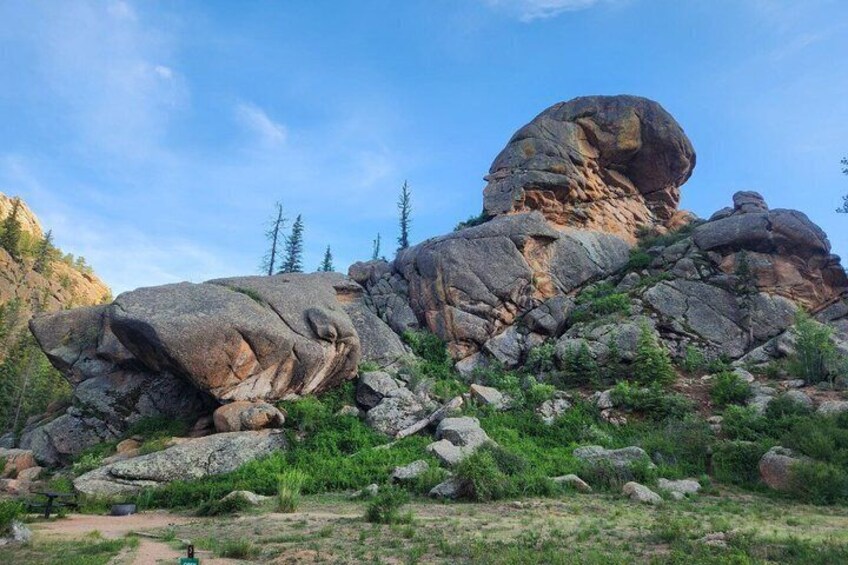 Petrified Giants of Land and Sea Tour in Colorado 1