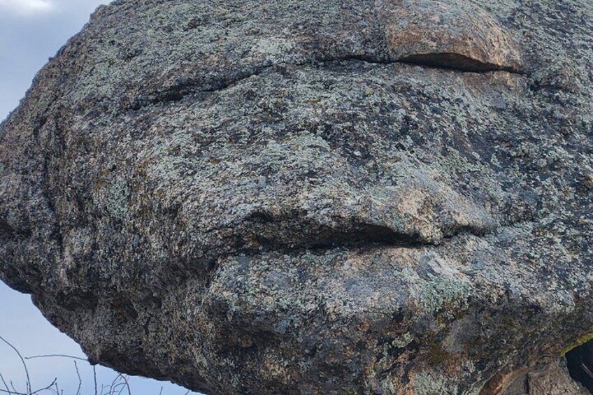 Petrified Giants of Land and Sea Tour in Colorado 2