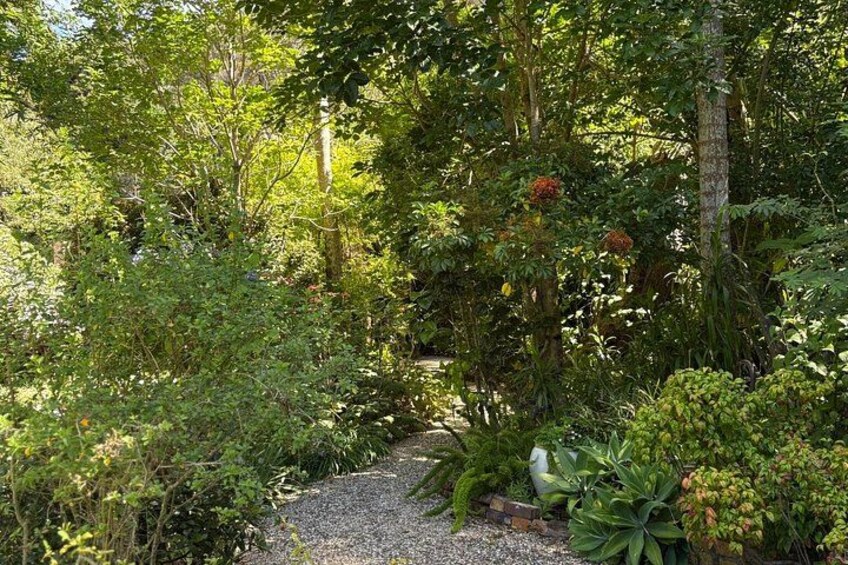 A garden with a gravel path, various green plants, and trees. 2