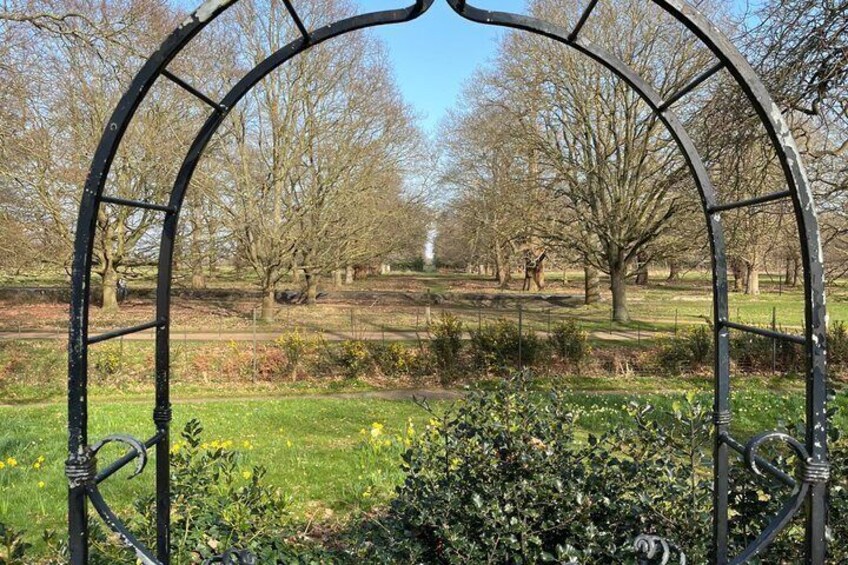 Richmond Park and Riverside Walking Tour 4