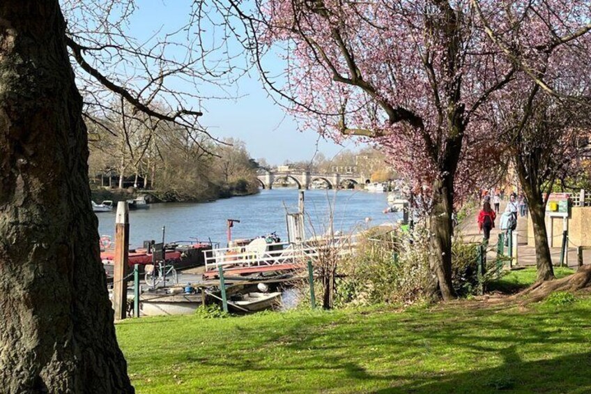 Richmond Park and Riverside Walking Tour 3