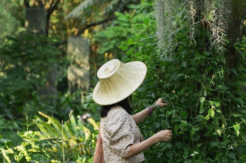 Thai Culture and Nature Escape 1