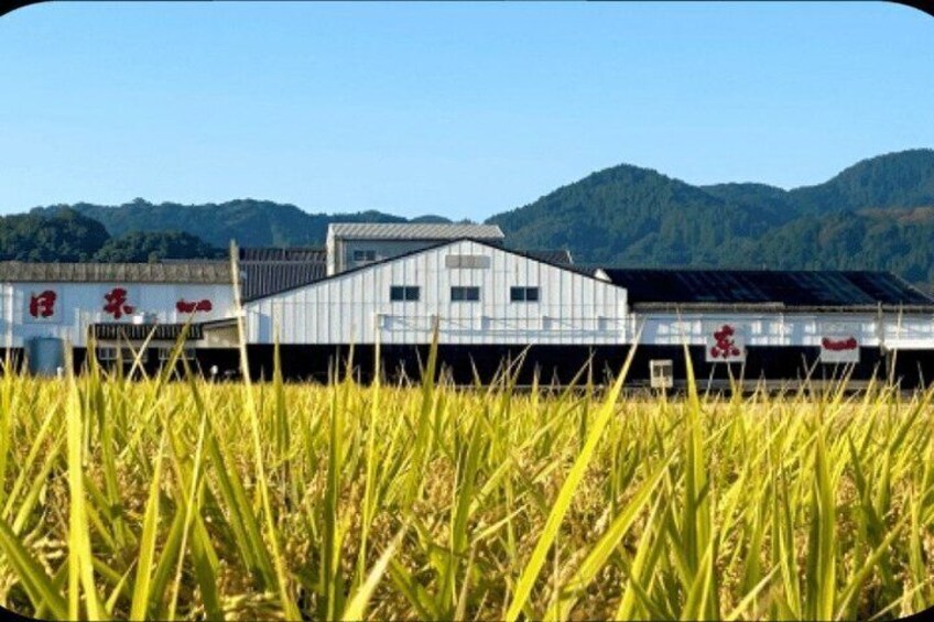 A building with a metal roof, surrounded by rice fields and mountains in the background. 4