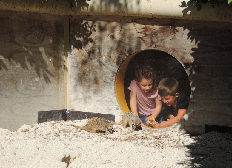Picture 2 for Activity Ancona: Zoo Falconara Park Entry Ticket 3