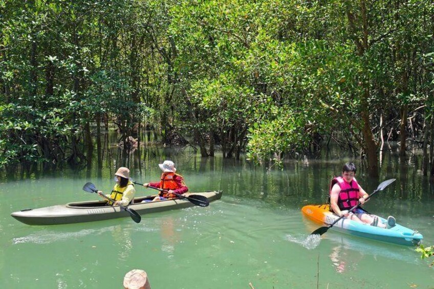 Phuket Mangrove Kayaking by THINN 3