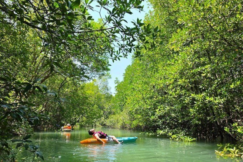 Phuket Mangrove Kayaking by THINN 4