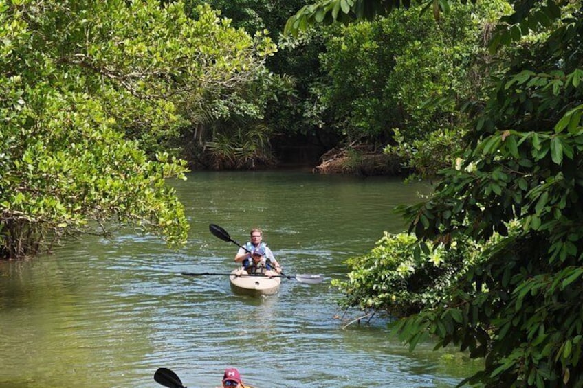 A person kayaking in a river surrounded by dense greenery. 3