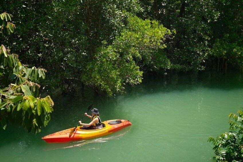 Phuket Mangrove Kayaking by THINN 1