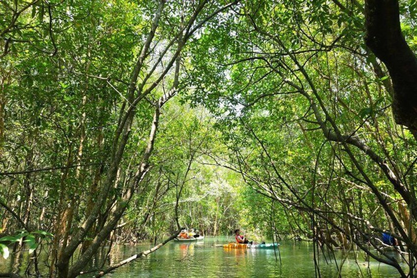 Phuket Mangrove Kayaking by THINN 5