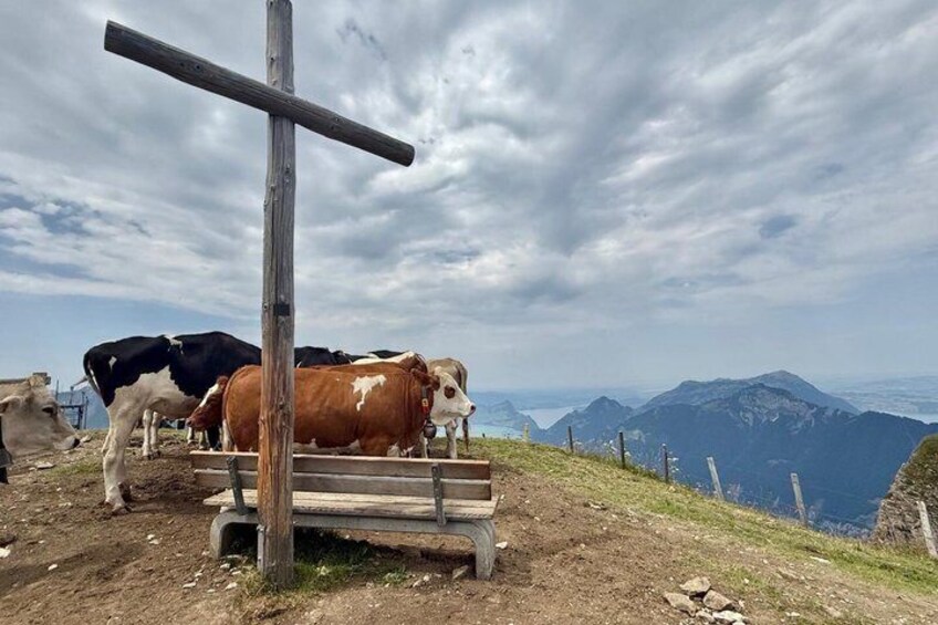 Peak to Peak Hike Private Tour in Switzerland 4