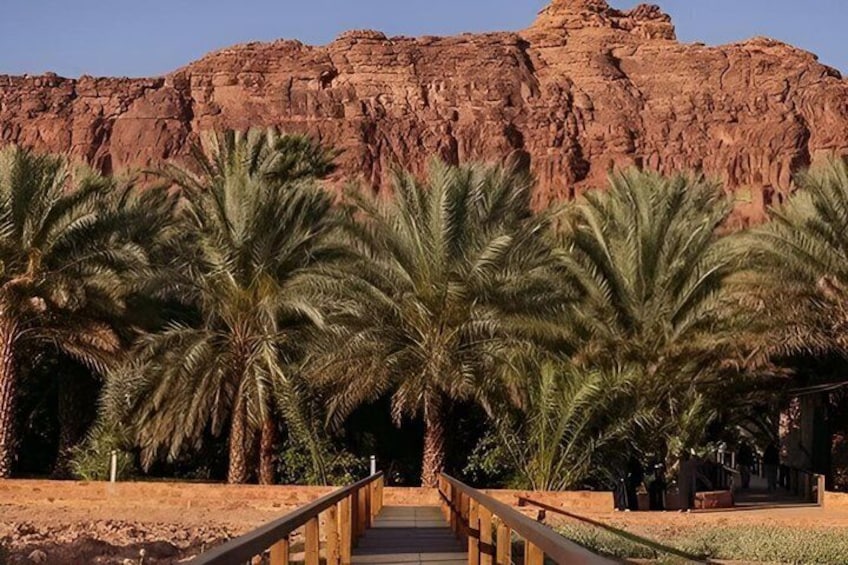 AlUla Oasis Heritage Trail Tour 1