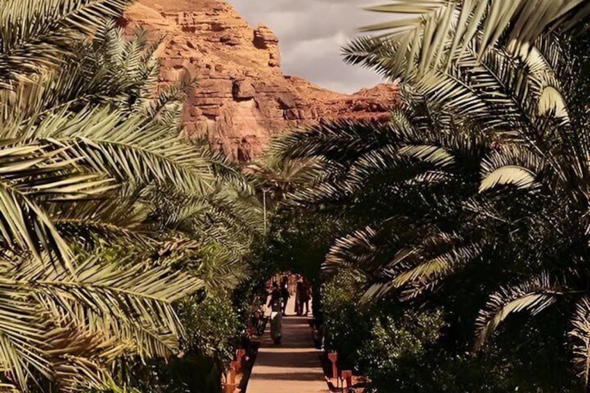 AlUla Oasis Heritage Trail Tour 3