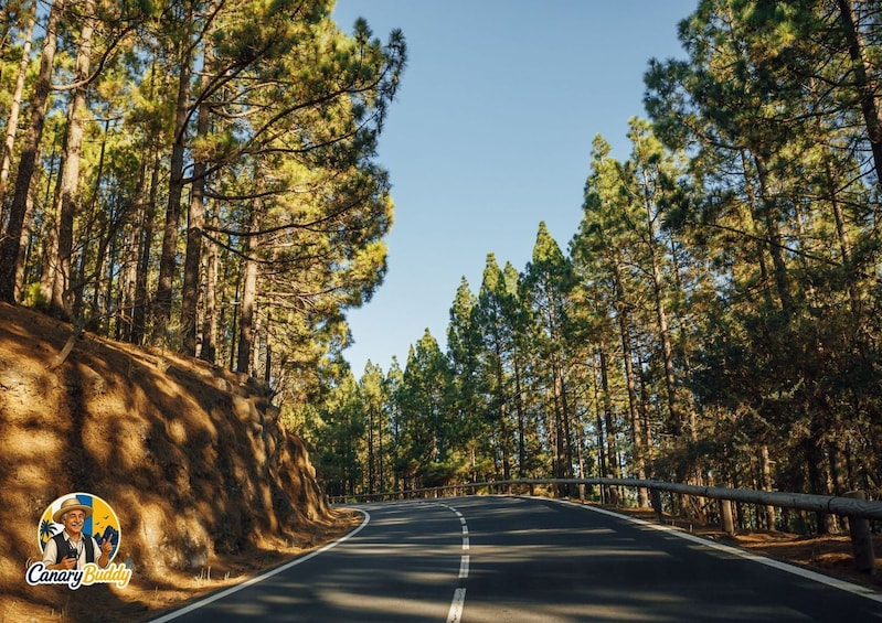 Tenerife: Teide Nationalpark - Self-Driving Audio Tour 4