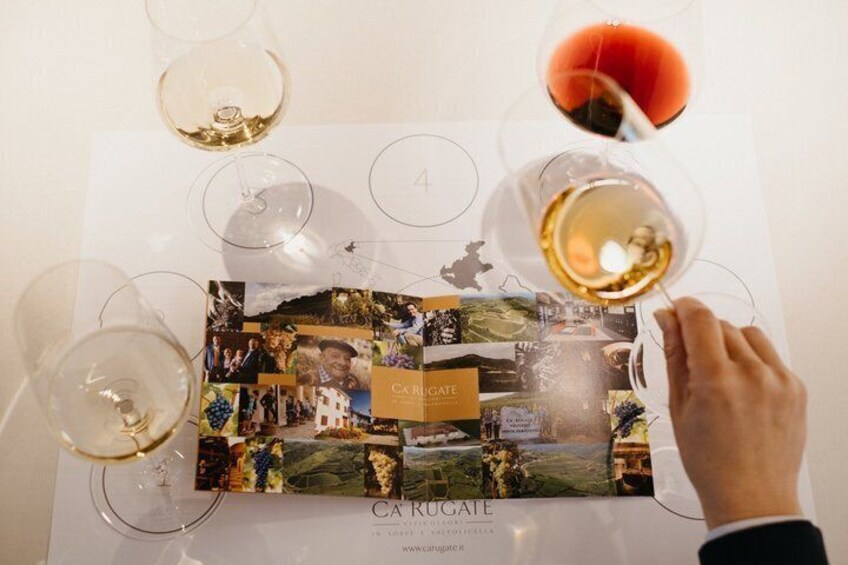 Wine Tasting Experience Between Soave Valpolicella and Lessini Durello 4