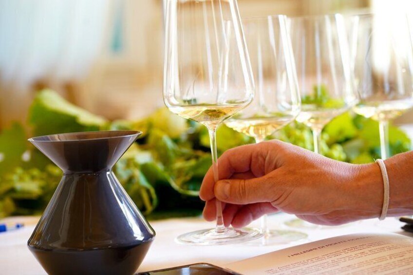100 Garganega in the Soave Classic Guided Tour and Wine Tasting 2