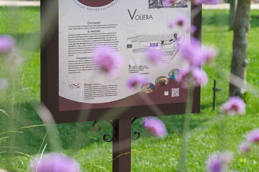 Experience in Nature in the Educational Farm in Brognoligo 2