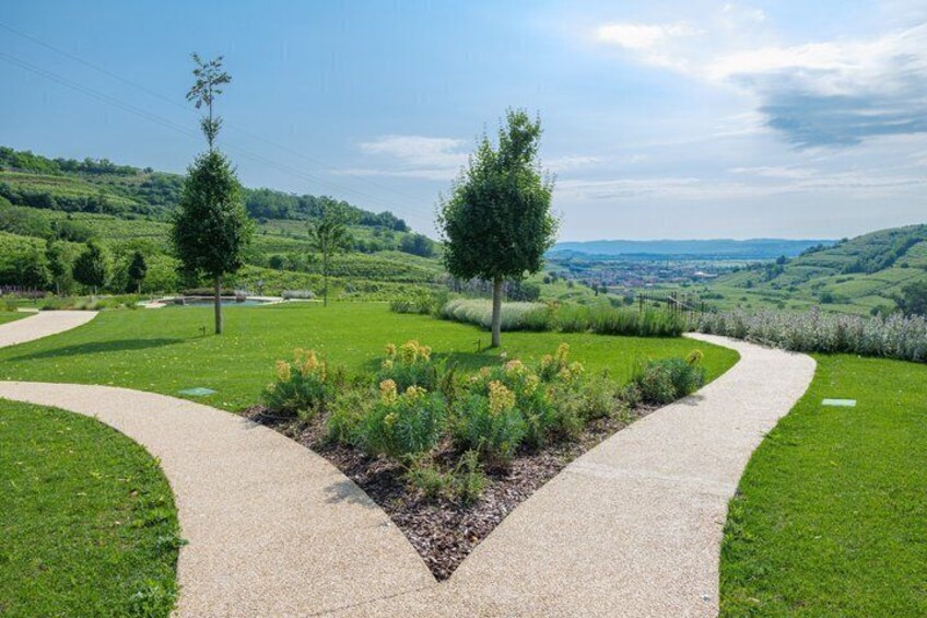 Experience in Nature in the Educational Farm in Brognoligo 1