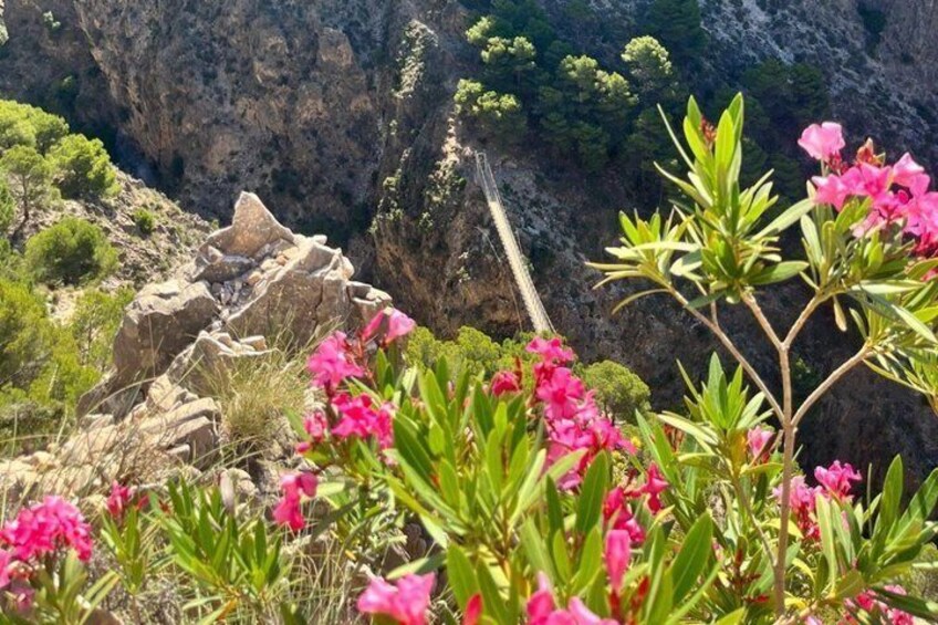 Hike and Tapas Adventure with Sunset 3