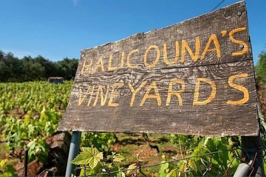 Secrets of Corfu in a Glass Wine Tasting at a Family Vineyard 1