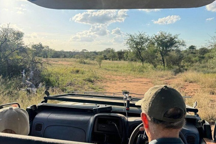 A vehicle's interior with a view of a savanna landscape. 2