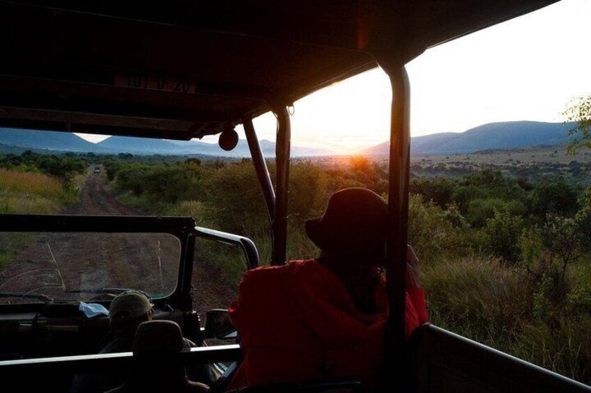 Half Day Sunset Tshukudu Safari Tour 4