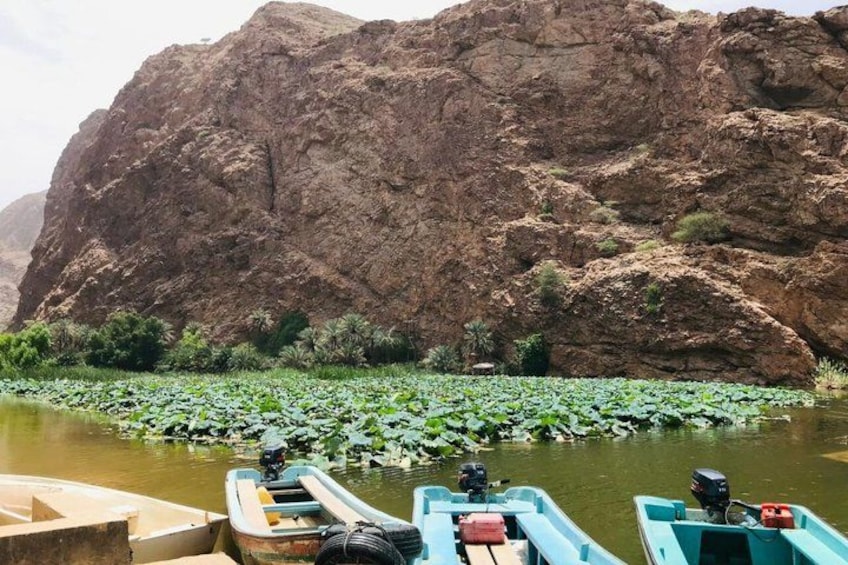 A rocky landscape with a body of water, boats, and lily pads. 5