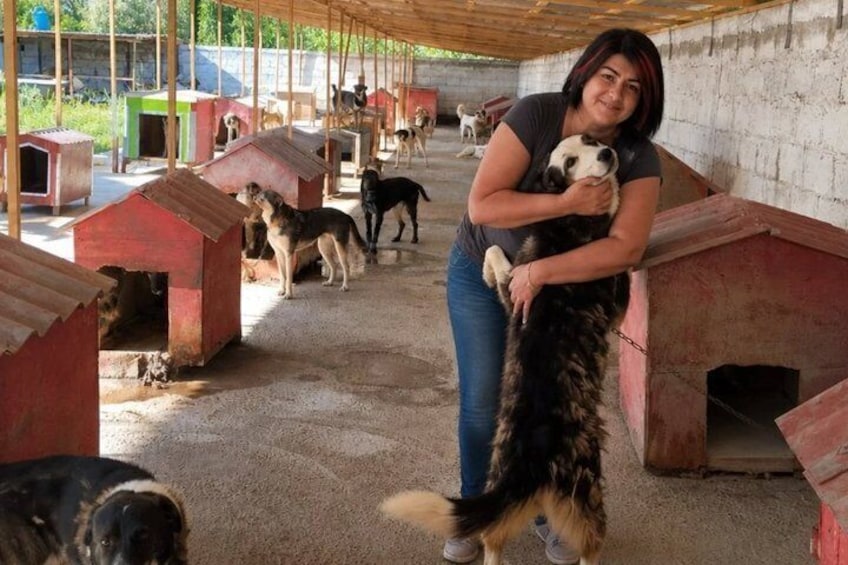 Rescue Dog Shelter Visit and Dog Walking Experience near Bukhara 1