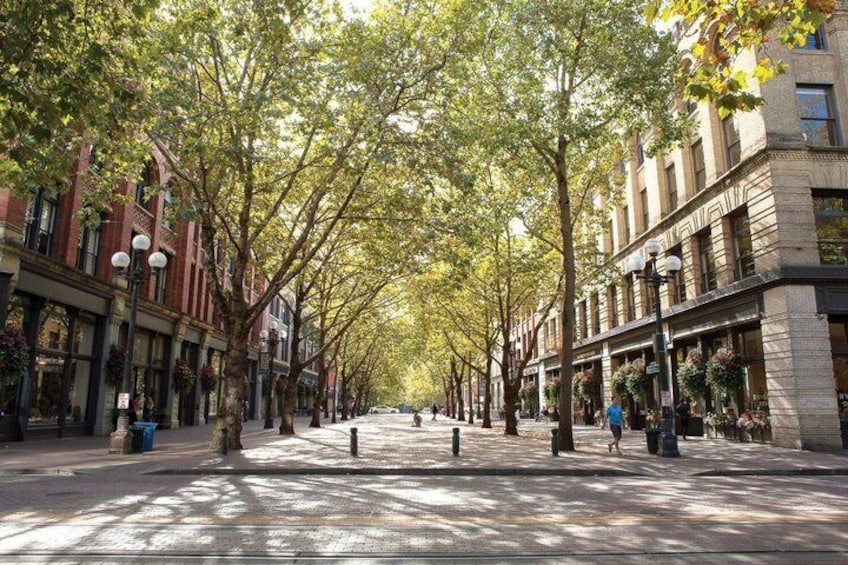 A tree-lined street with buildings on either side. 5