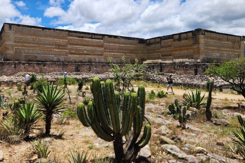 A large building with intricate stone carvings, surrounded by a desert landscape with cacti and sparse vegetation. 5