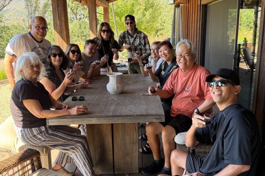 Healdsburg Wine Country Electric Trike and Wine Tour 3 Hours 3