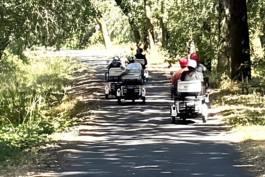 Healdsburg Wine Country Electric Trike and Wine Tour 3 Hours 1