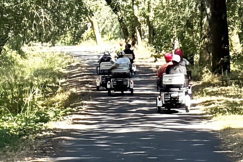 A narrow road flanked by trees, with two motorized carts being pulled by horses. 1