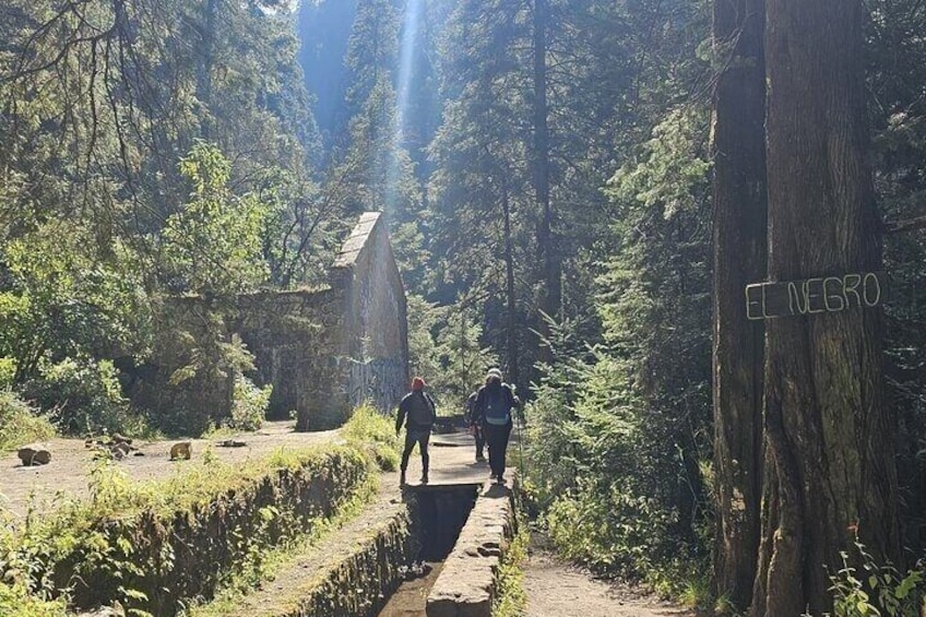 Private Hike to Los Diamantes Waterfall from Querétaro 3
