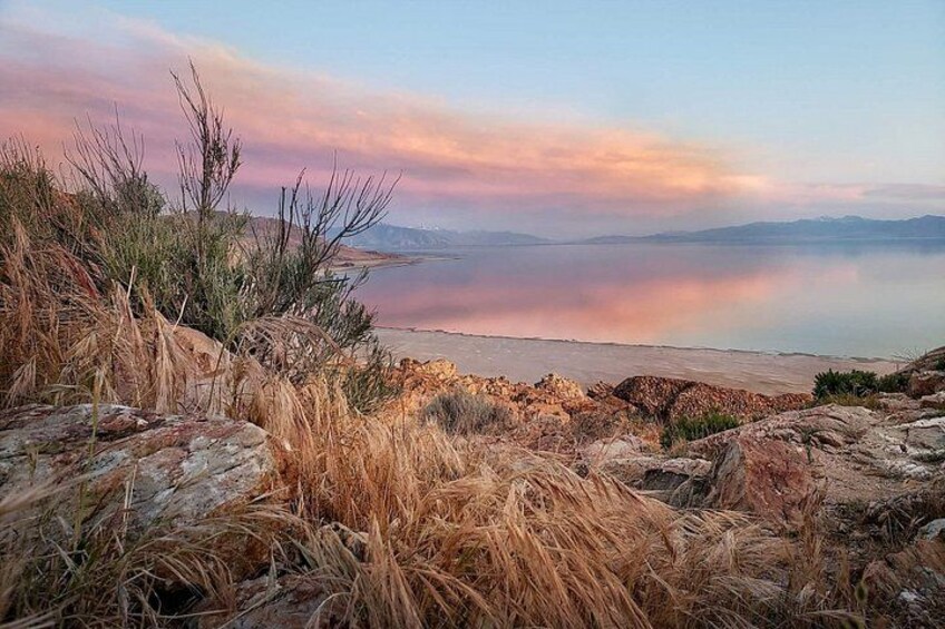 A coastal landscape with dry grass, rocks, and a calm body of water reflecting the sky. 4