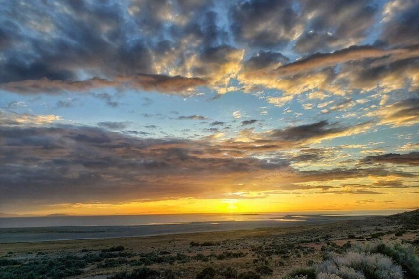 Great Salt Lake Sunset Safari Tour 2