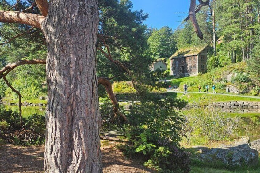 A tree, a stone wall, and a building in a forested area. 2