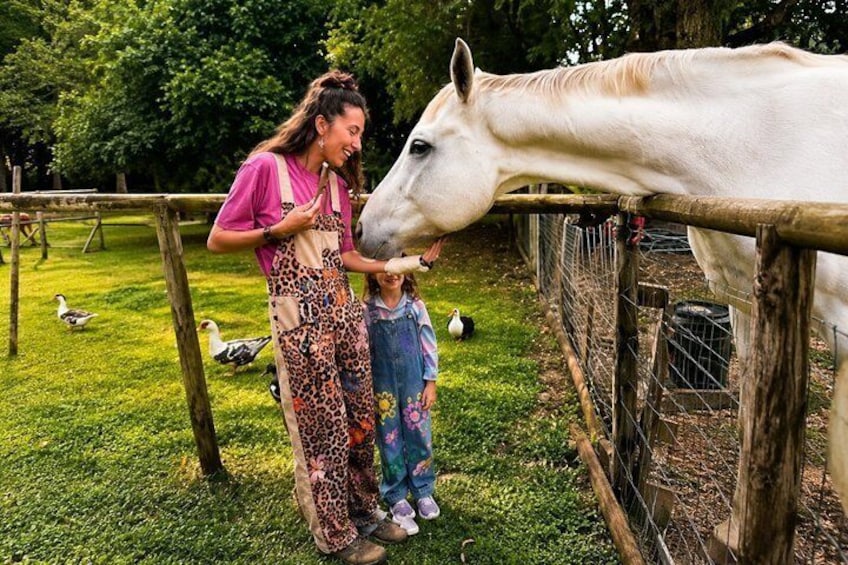 Mission Beach Farm Animal Encounter Small Group Tour 3