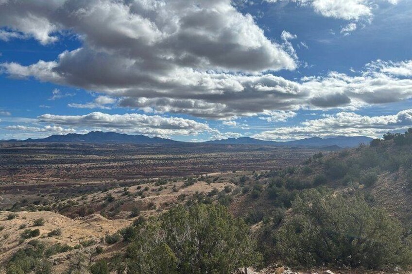 High Desert Safari 4X4 Tour 4