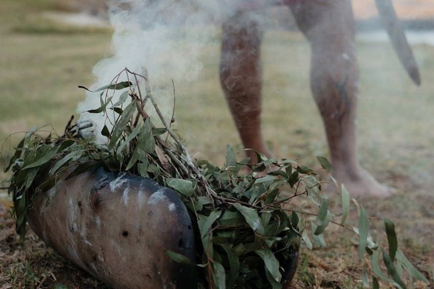 A bomb with foliage and smoke, a person in the background, and a grassy field. 4