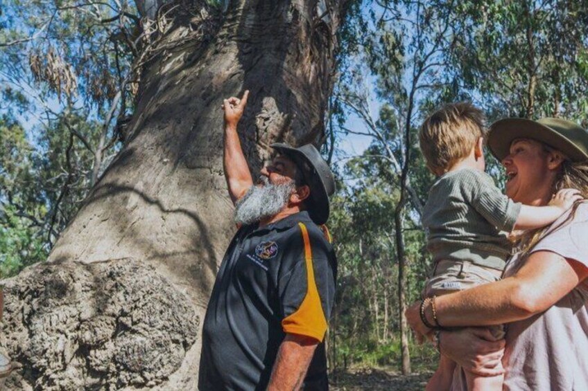 Bangerang Country Tongaloga Big Water Cultural Experience 3